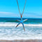 Necklace with blue opal and silver starfish